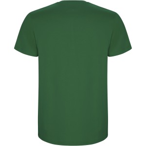 Roly Stafford frfi pamutpl, Kelly Green (T-shirt, pl, 90-100% pamut)